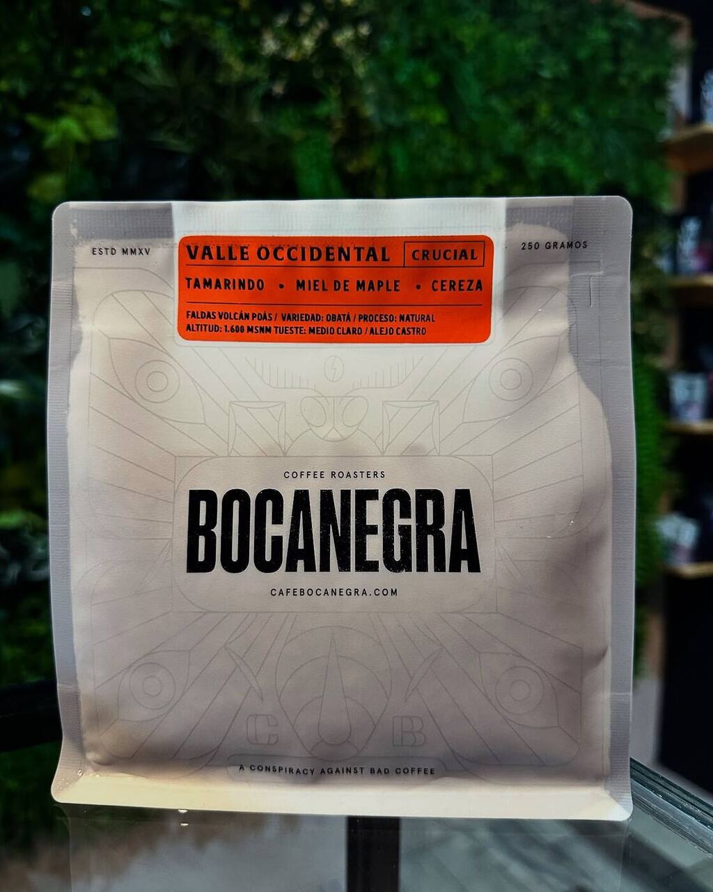 Bolsa de café de especialidad Bocanegra 250g — origen Costa Rica — 1